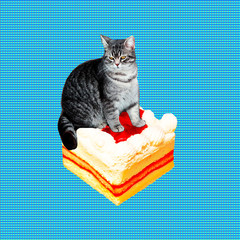 Contemporary funny art collage.  Fat cat surfing on cake