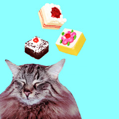 Contemporary funny art collage.  Cat dreaming about cakes. Sweet lover