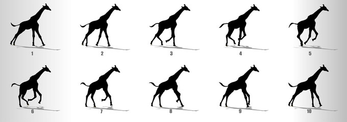 Giraffe run cycle animation frames silhouette, loop animation sequence sprite sheet 