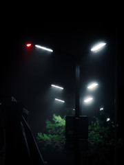 Modern street lights and fir trees against dark sky. Cyberpunk style shot. Urban lamp posts and green plants in the foggy night.