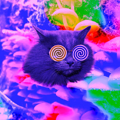 Contemporary art collage.  Cat hallucination mushrooms party