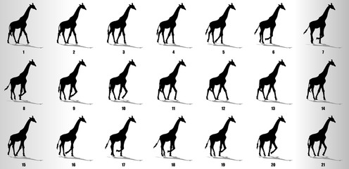 Giraffe walk cycle animation frames silhouette, loop animation sequence sprite sheet 