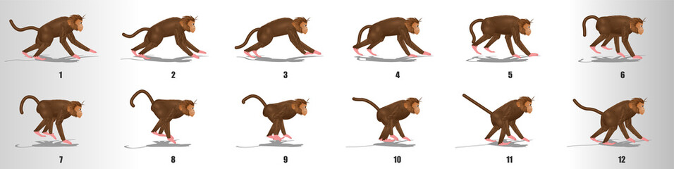 Monkey run cycle animation frames, loop animation sequence sprite sheet  © AryanRaj