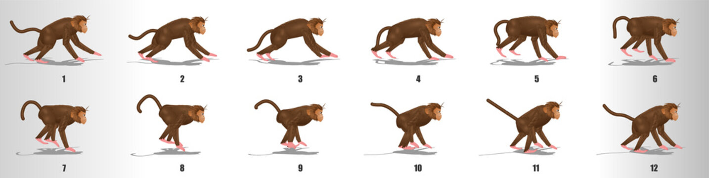 Monkey run cycle animation frames, loop animation sequence sprite sheet  Stock Vector | Adobe Stock