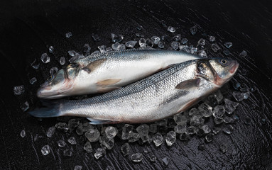 Fresh seabass fish on ice on black background