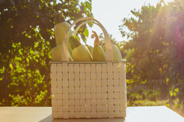 Healthy eating Vegetables on the salad. Good harvest. Close-up. Fresh organic zucchini in a basket...