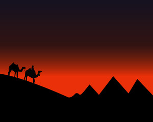 Fototapeta premium Man with camels riding in the desert sunset