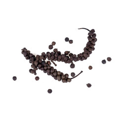 Black pepper isolated on white background.