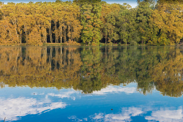 Fototapeta premium Reflections of lakeside trees & blue sky on the lake surface in Lyon, France