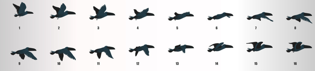 Toucan flying animation sequence silhouette , loop animation sprite sheet 