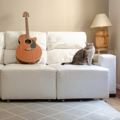 home decor: living room with white sofa, guitar, tabby cat, light brown wall