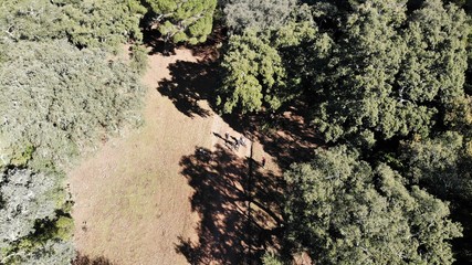created by dji camera