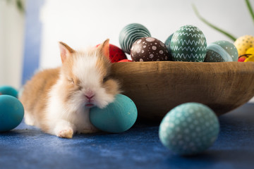 Easter bunny and basket with colorful eggs and feathers. Easter holiday decorations , Easter concept background.