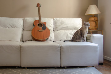 home decor: living room with white sofa, guitar, tabby cat, light brown wall