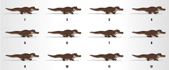Crocodile walk cycle animation frames, loop animation sequence sprite sheet 