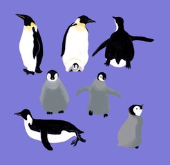 Penguin iillluustration
