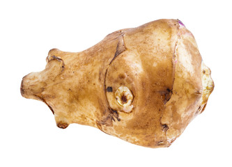 fresh tuber of jerusalem artichoke cutout