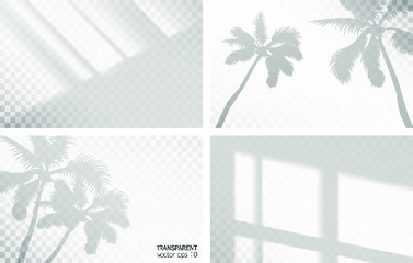 Set of transparent shadow overlay effects for mockup presentations branding. Natural lighting photo-realistic vector illustration. Tropical palm plant monstera leaves, foliage, window frames overlays