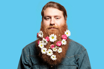 A bearded man with a decorated beard for the spring holiday on the blue background. Flower in the beard.