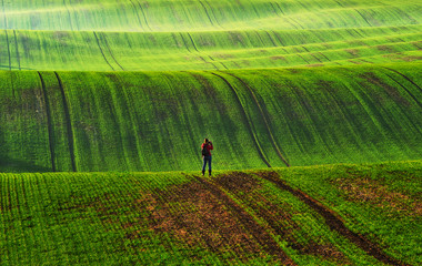 tourist in the field. picturesque hilly field. rural landscape