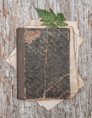 Old retro book cover with dry plant on the vintage rustic wooden board