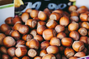 Récolte de noisettes dans un panier