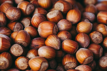 Récolte de noisettes dans un panier