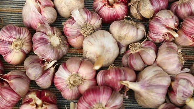 Pile of garlic in closeup
