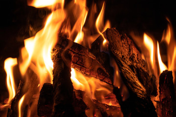 Close up of bonfire. Hot and warm color burning wood on the cold night on the sahara desert, Morocco