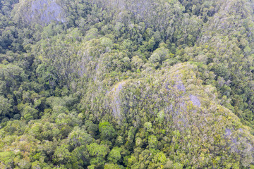 A rugged limestone island in Raja Ampat, Indonesia, is covered by forest. It is amazing that so much lush vegetation can survive on a karst island with little soil.