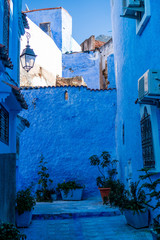 Blue color streets of Chefchaouen in Morocco during warm sunny day in spring time