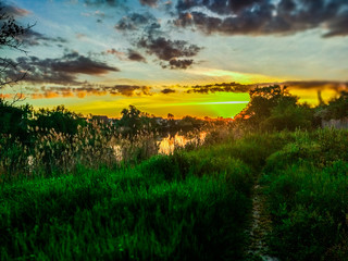 rural dawn general plan with backlight and image of sun, sky, clouds, houses and grass