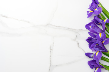 Flowers composition. Purple flowers irises on white marble background. Spring, 8 of march, woman day, mothers day, easter concept. Flat lay, top view, copy space. © DACH Studio
