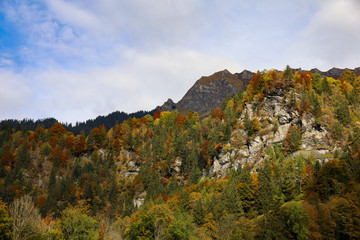 View of landscape forest on the mountain in autumn season at Switzerland for nature landscape background