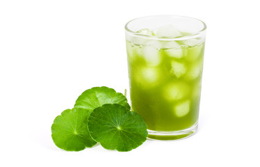 Glass of Gotu Kola ice tea with green leaf ( Asiatic pennywort, Indian pennywort, Centella asiatica ) isolated on white background.
