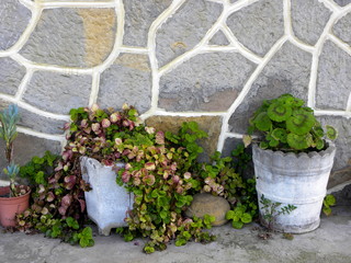 Beautiful place in the garden in the mediterranean style, corner with potted plants. 
