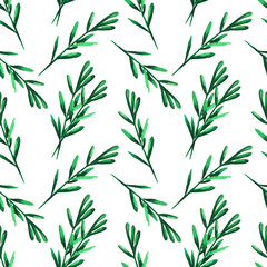Rosemary branches seamless watercolor pattern. Provence herbs. Green leaf leaves, twig, branch, herb stick. Isolated. Botanical. Floral. Herbal. Flower. Ingredient.
