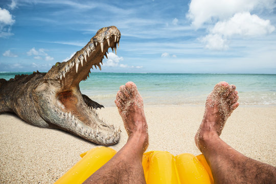 saltwater crocodile attacking man at the beach, relaxing on an air mattress