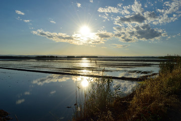atardecer