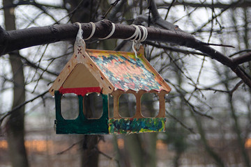 bright bird feeder on a tree branch