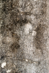 texture of old cement concrete wall. image for background.