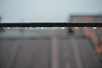 Water drops on the iron trellis under a cloudy sky after the rain