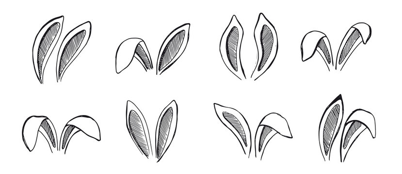 Set of rabbits's ears. Hand drawn illustration.