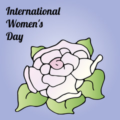 Big blooming beautiful white rose. Greeting card for mother's day. Spring design.