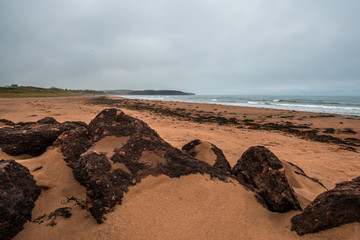 Prince Edward Island Beash