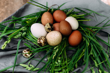 Chicken and quail eggs close-up