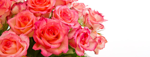 Fototapeta premium Pink roses bouquet isolated on white background.