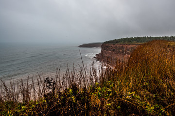 Prince Edward Island Cliffs