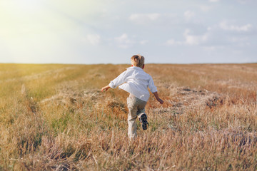 blond little boy playing hay in the field. summer, sunny weather, farming.