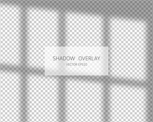 Shadow overlay effect. Natural shadows from window isolated on transparent background. Vector illustration. 